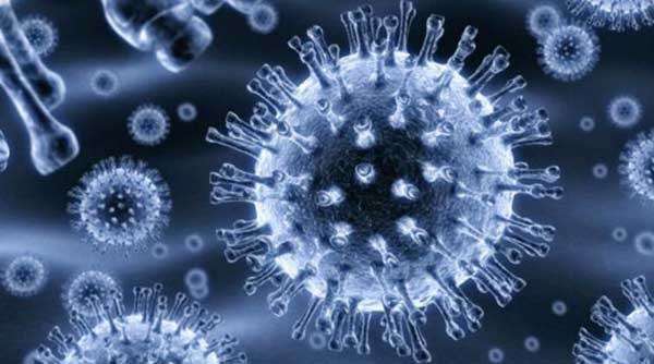 Apakah Buat Penyakit Hepatitis Kronis Sanggup Dibereskan Memakai Propolis?
