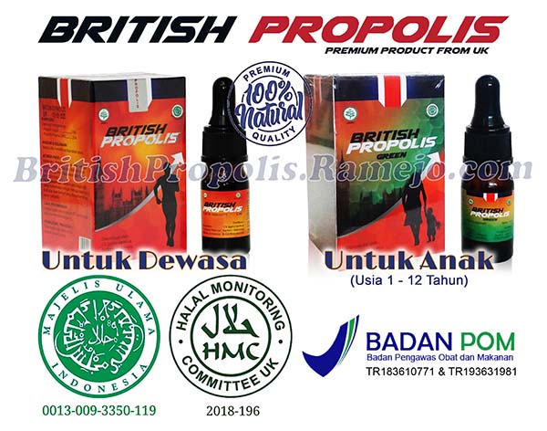 Sertifikasi BPOM British Propolis